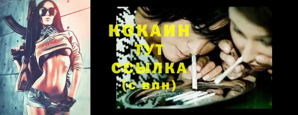 ПСИЛОЦИБИНОВЫЕ ГРИБЫ Ельня