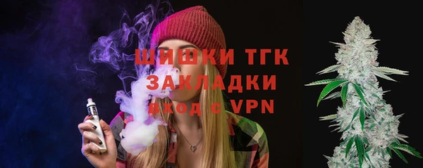 ПСИЛОЦИБИНОВЫЕ ГРИБЫ Ельня
