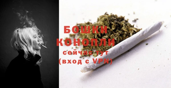 крисы Дмитровск
