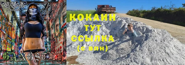 хмурый Елизово