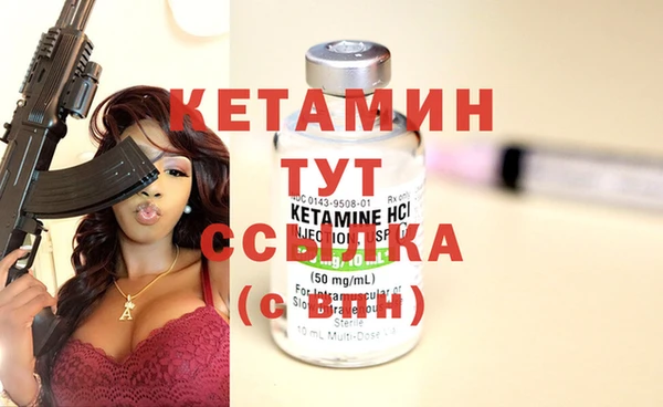 крисы Дмитровск