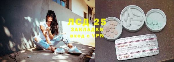 сатива Гусь-Хрустальный