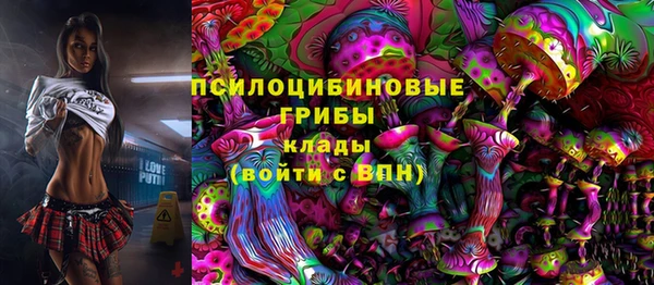 герыч Дмитриев